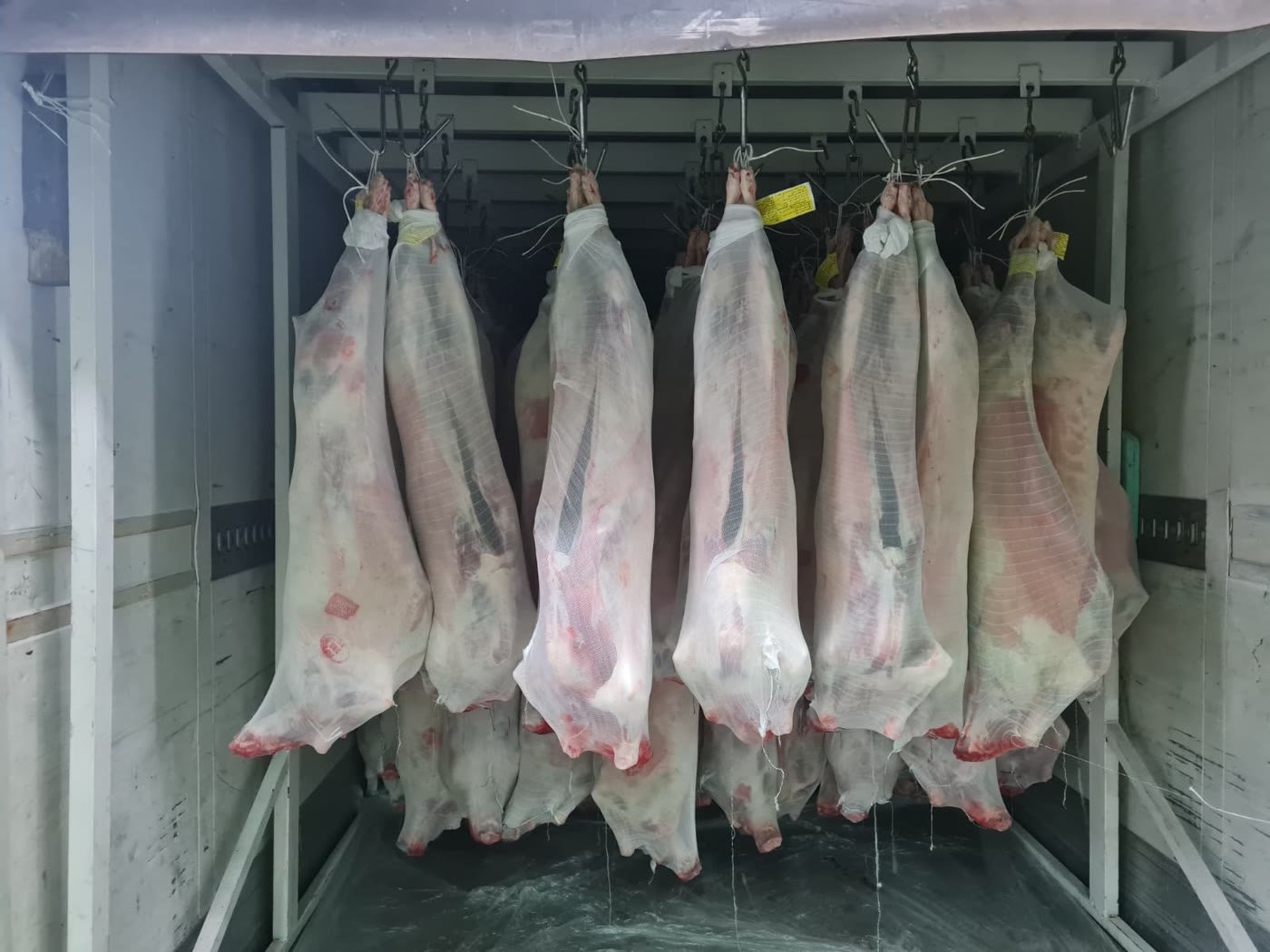Vakumlu paketlenmiş kuzu eti